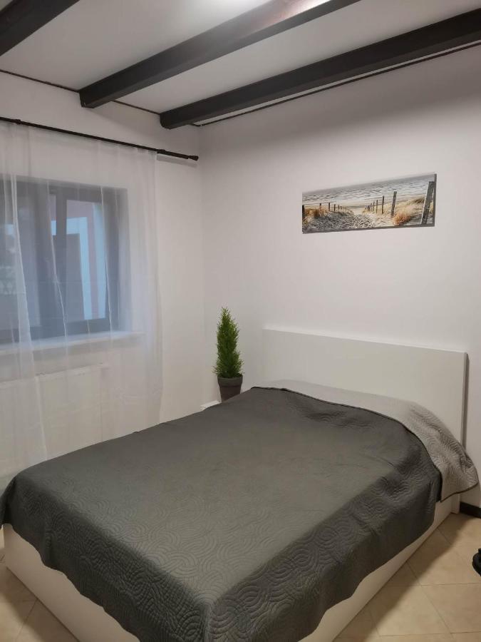 Urocze Studia W Lomiankach, 1- Z Sauna I Tarasem, 2- Z Kominkiem, 3- Ekonomiczne, 7Km Metro Mlociny Warszawa Łomianki Buitenkant foto