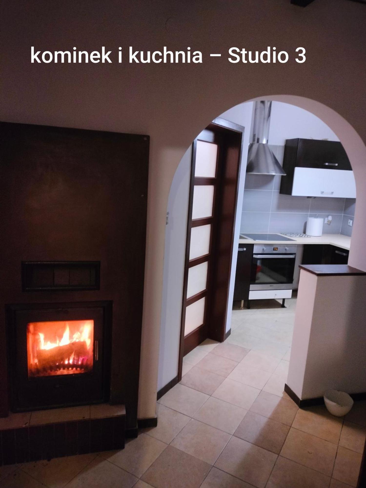 Urocze Studia W Lomiankach, 1- Z Sauna I Tarasem, 2- Z Kominkiem, 3- Ekonomiczne, 7Km Metro Mlociny Warszawa Łomianki Buitenkant foto